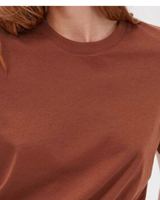 Unisex Classic Crew T-Shirt_brown